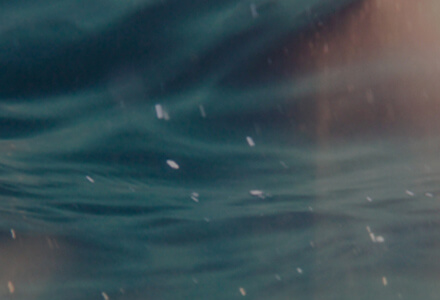 ��8ͷ�����(�й���½)-�ٷ���վ