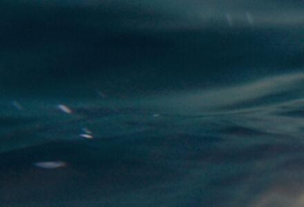 ��8ͷ�����(�й���½)-�ٷ���վ