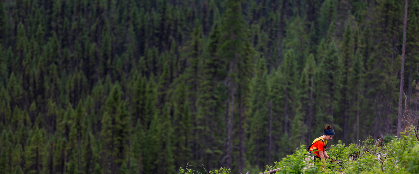 ��8ͷ�����(�й���½)-�ٷ���վ