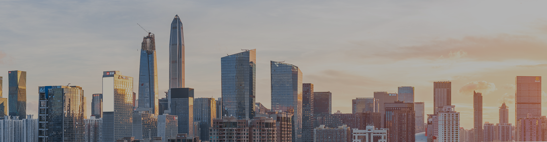 ��8ͷ�����(�й���½)-�ٷ���վ