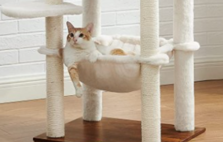 ��8ͷ�����(�й���½)-�ٷ���վ